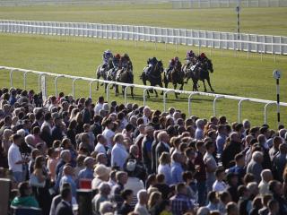 There is racing from Windsor on Monday